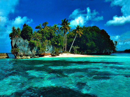 tumblr_lms5xwobV61qimazpo1_500