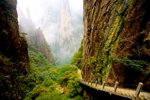 tumblr_lpgewgJ5Ep1qj8j0no1_500