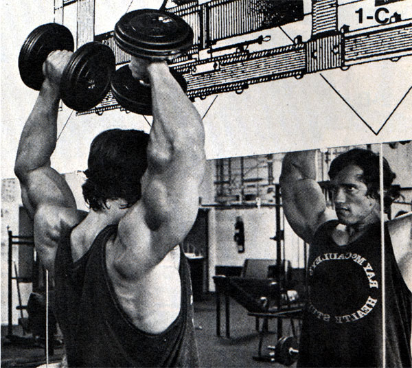 Arnold Schwarzenegger dumbbell press