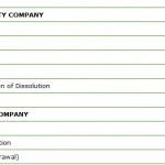 NM LLC Fee Schedule