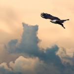 Read This Before You Decide to Give Up