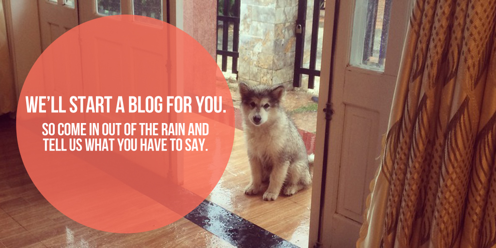 badnet-twitter-dog-ad