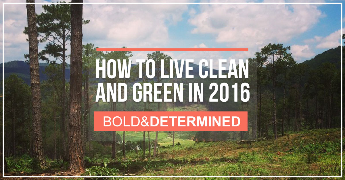 clean-and-green-post2