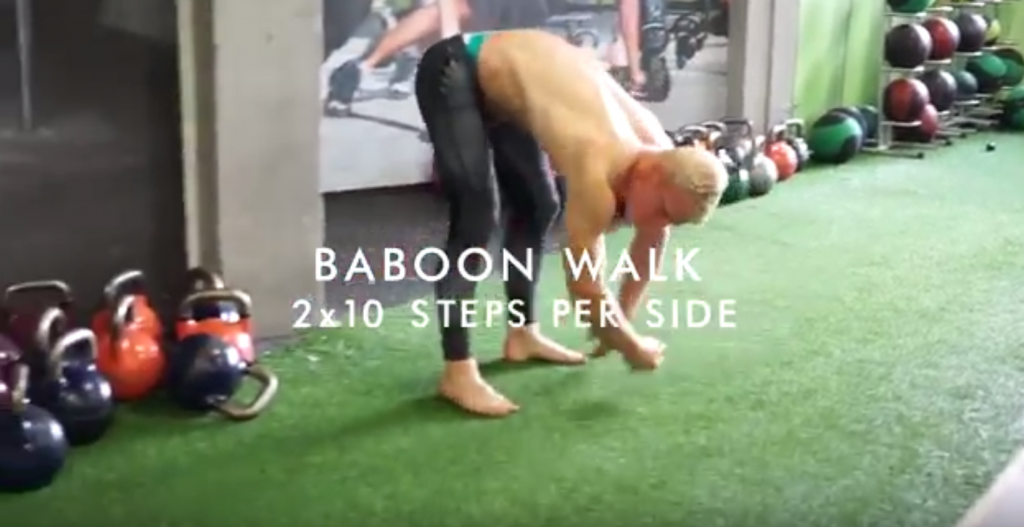 Baboon Walk