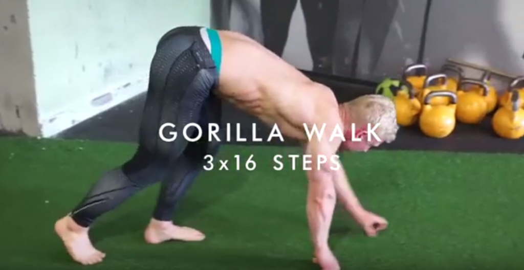 Gorilla walk