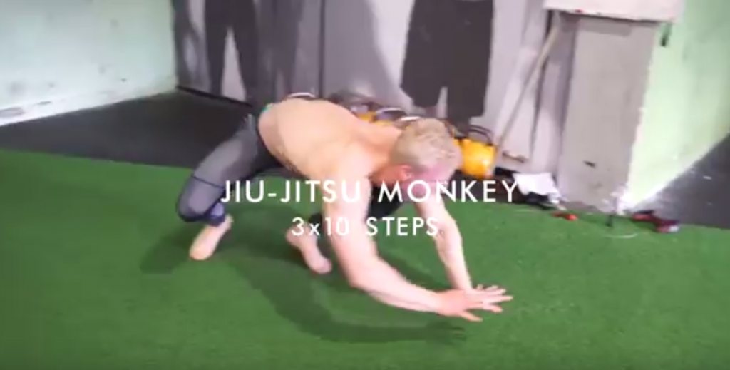 Jiu-Jitsu Monkey