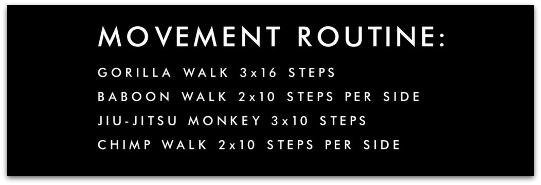 monkey-movement-training-routine-recap.01 PM