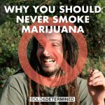 why you should not smoke marijuana